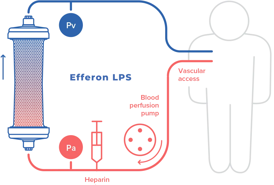 Efferon® LPS — indications