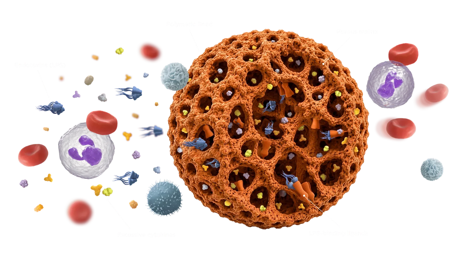 Efferon® LPS — mechanism of action